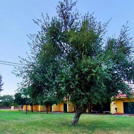 Norbello Nuraghe Ruiu Camping & Bungalow מראה חיצוני תמונה