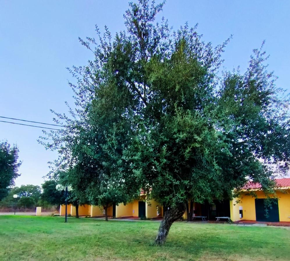 Norbello Nuraghe Ruiu Camping & Bungalow מראה חיצוני תמונה