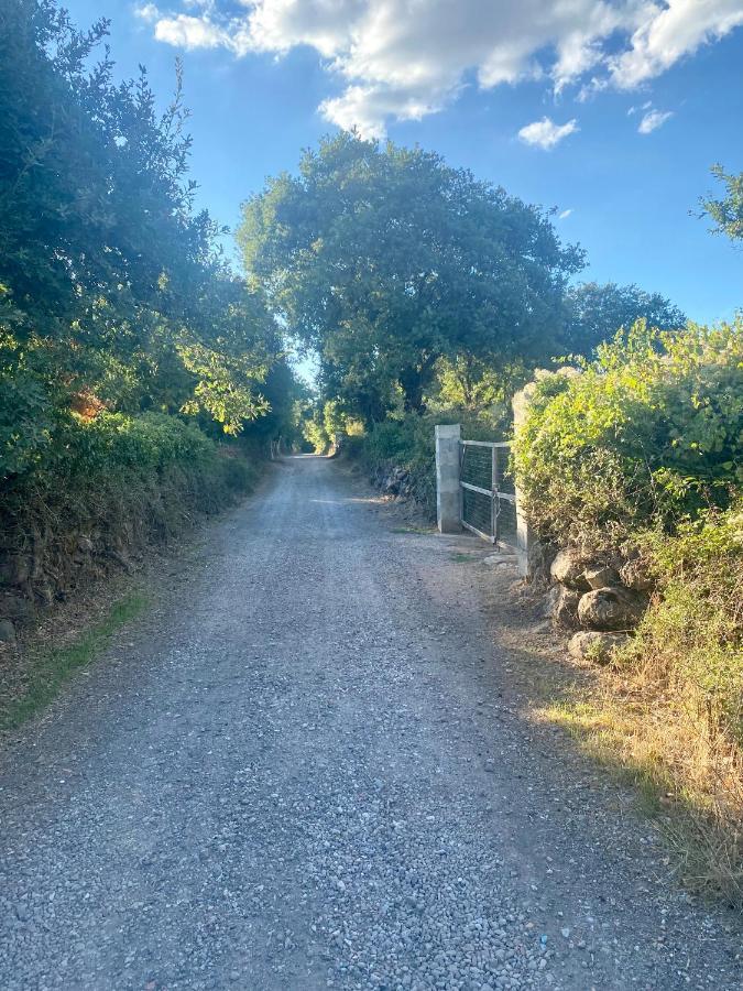 Norbello Nuraghe Ruiu Camping & Bungalow מראה חיצוני תמונה