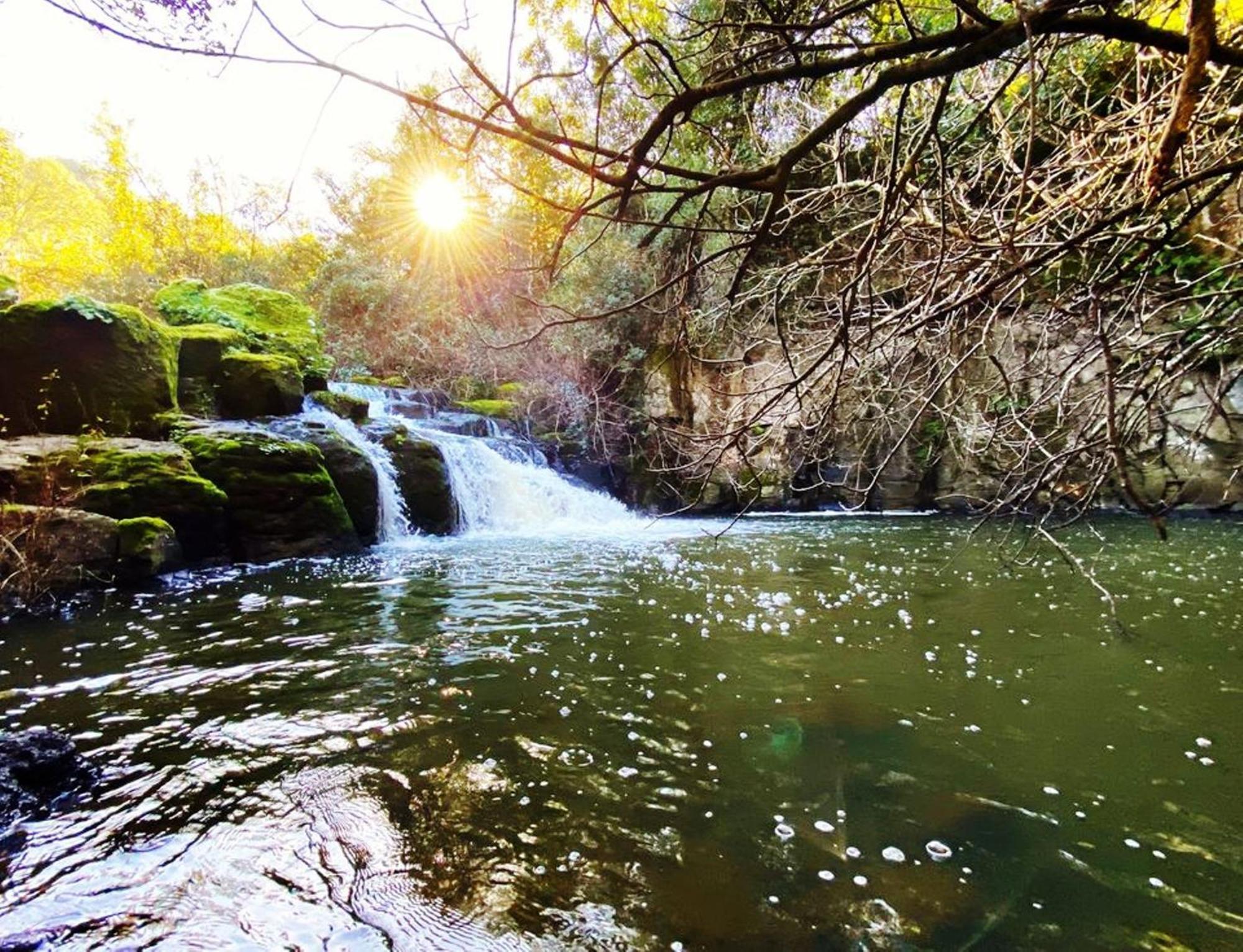 Norbello Nuraghe Ruiu Camping & Bungalow מראה חיצוני תמונה